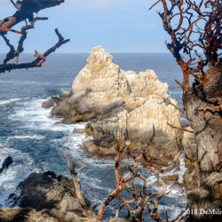 604 Point Lobos, State Natural Reserve, CA