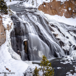 714 Gibbon Falls, Yellowstone NP, WY